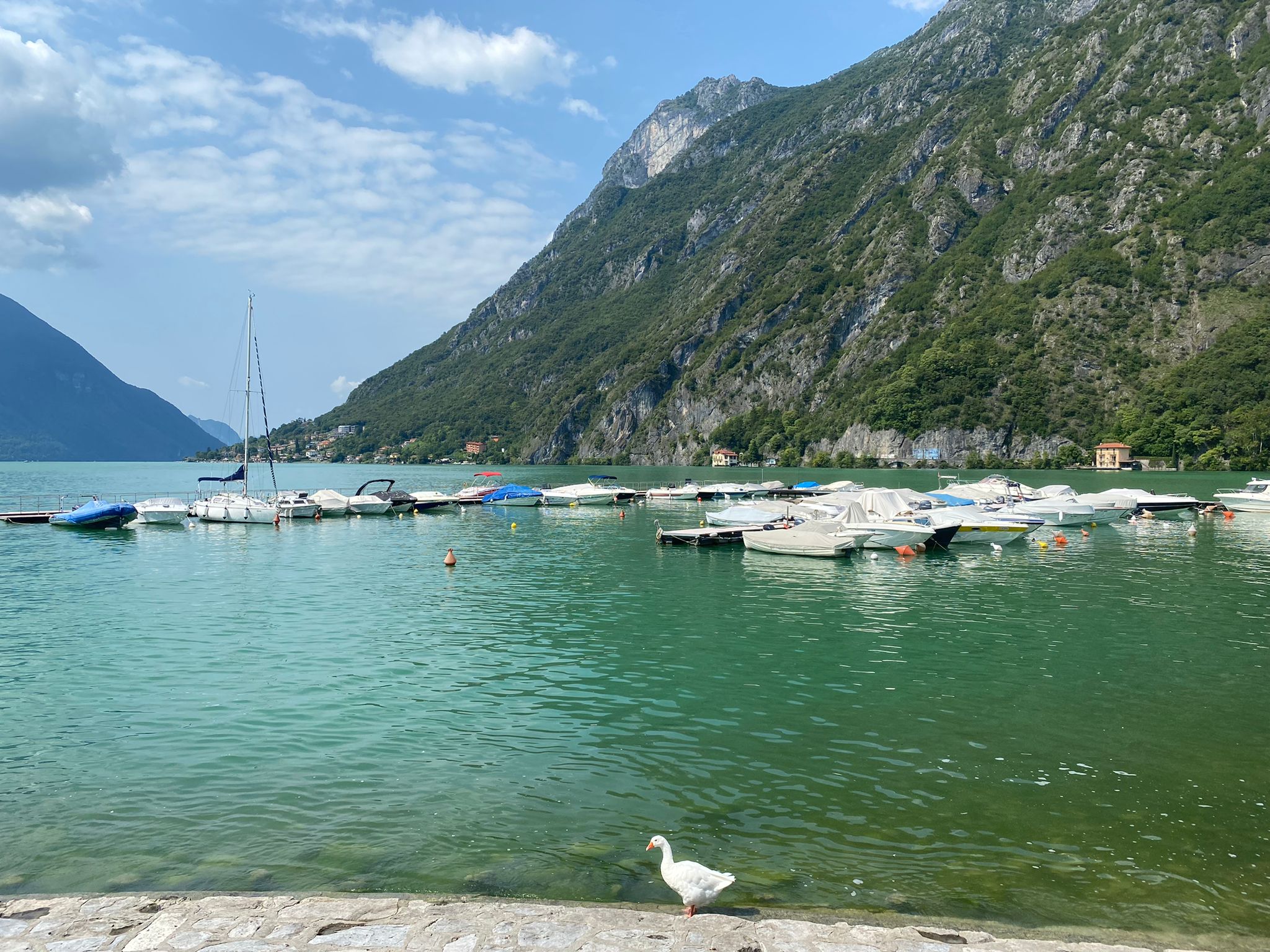 Chaletverhuur Luganomeer